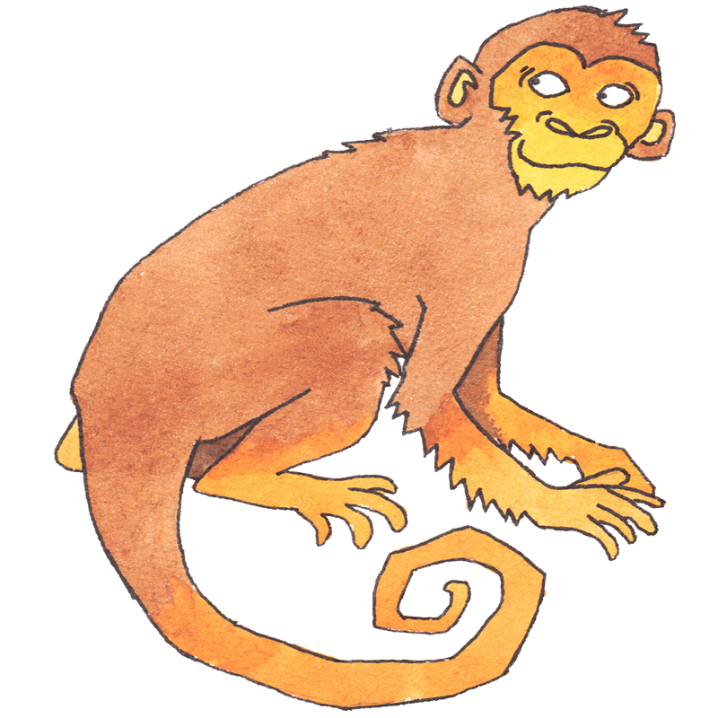 Astrologia Chinesa | Signo Animal O Macaco