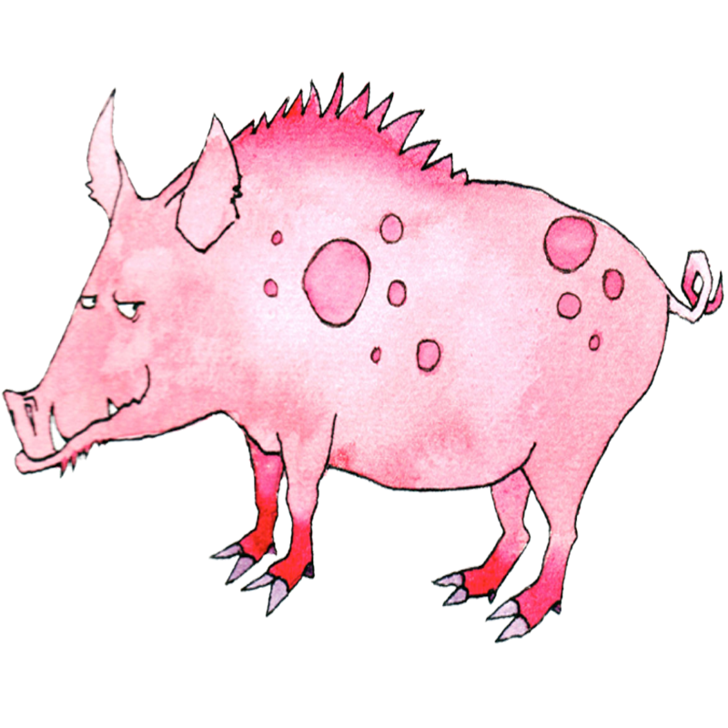  Astrologia chinesa | Signo animal do Porco